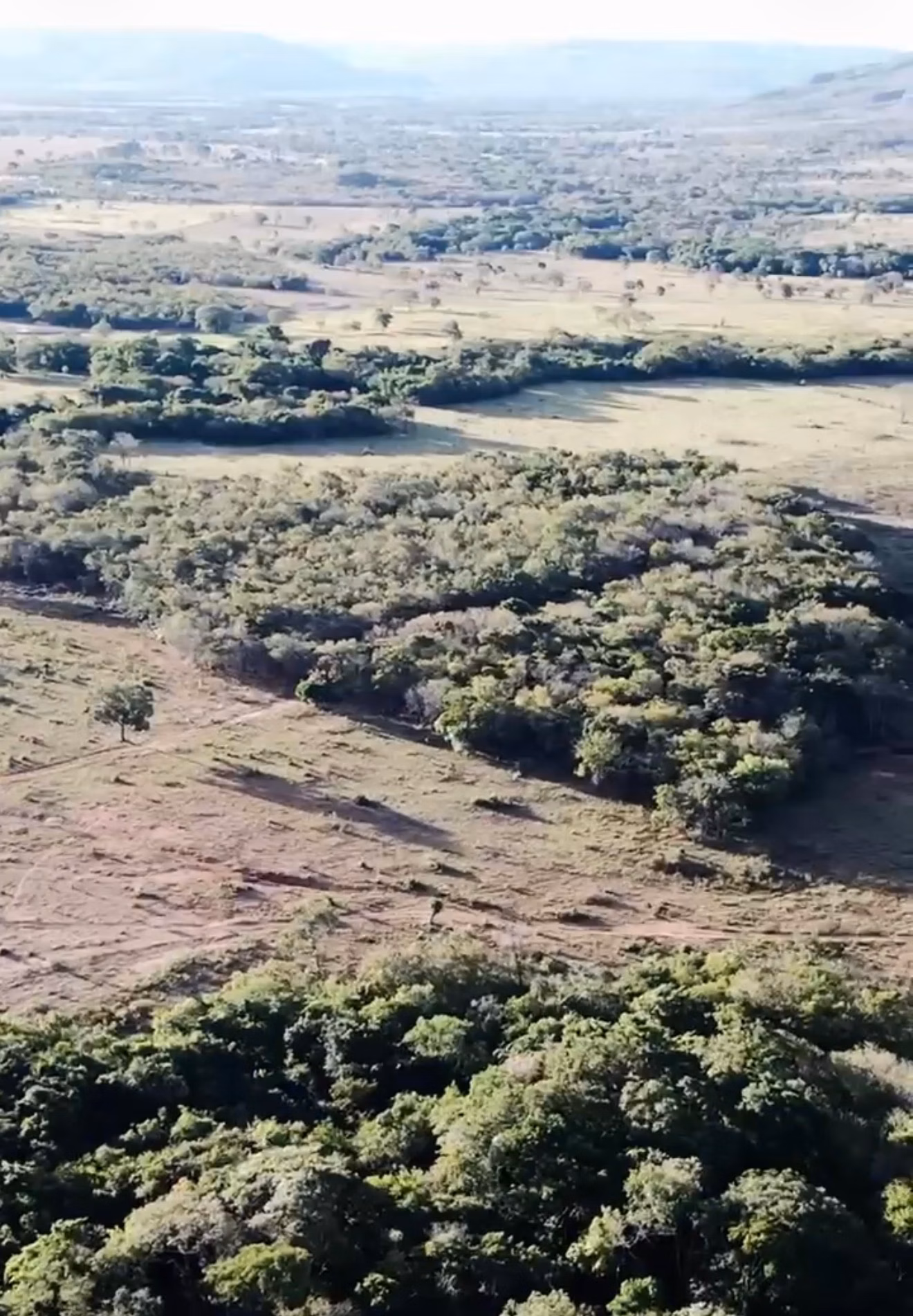 Fazenda de 1.800 ha em Cabeceiras, GO