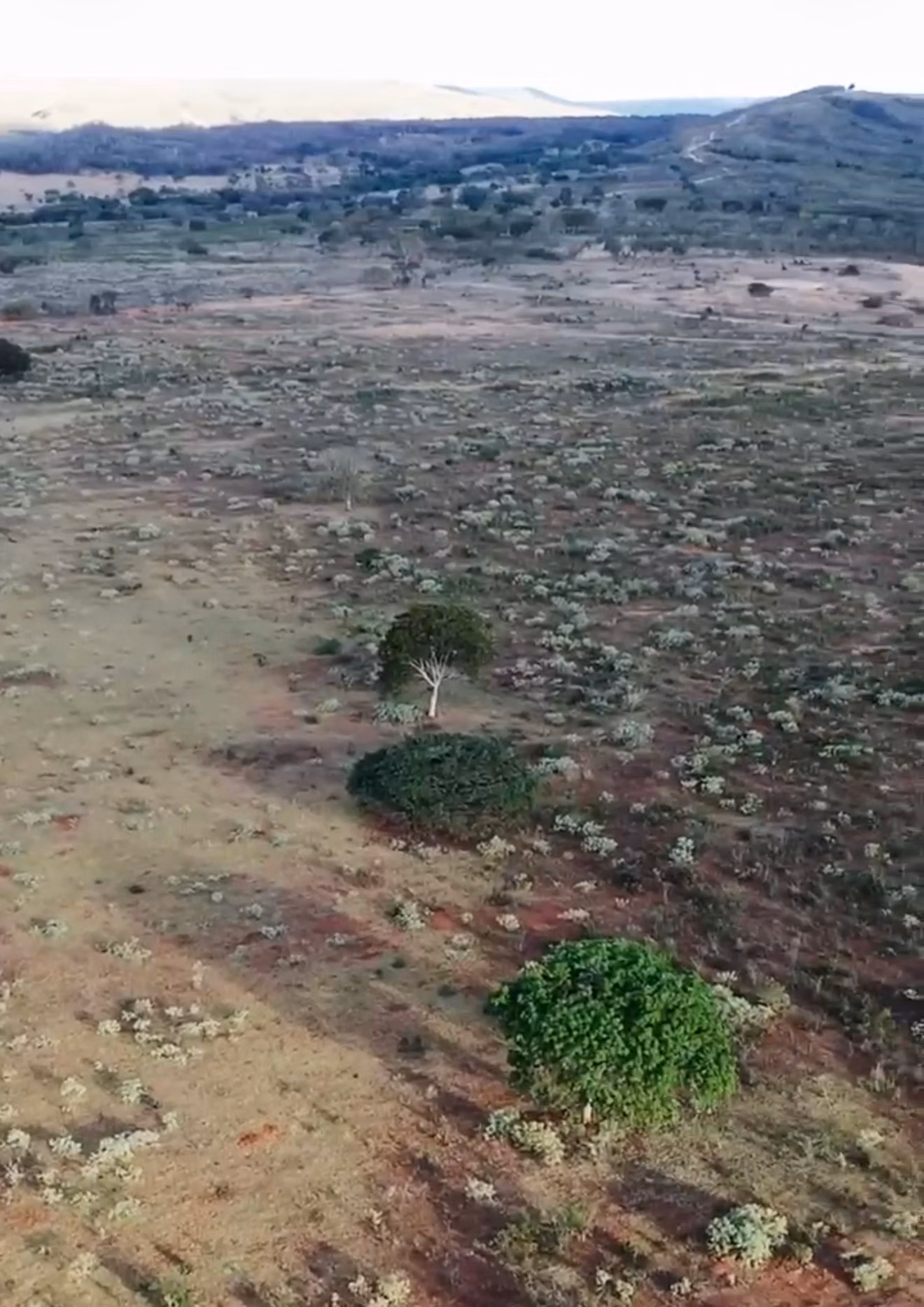 Fazenda de 1.800 ha em Cabeceiras, GO