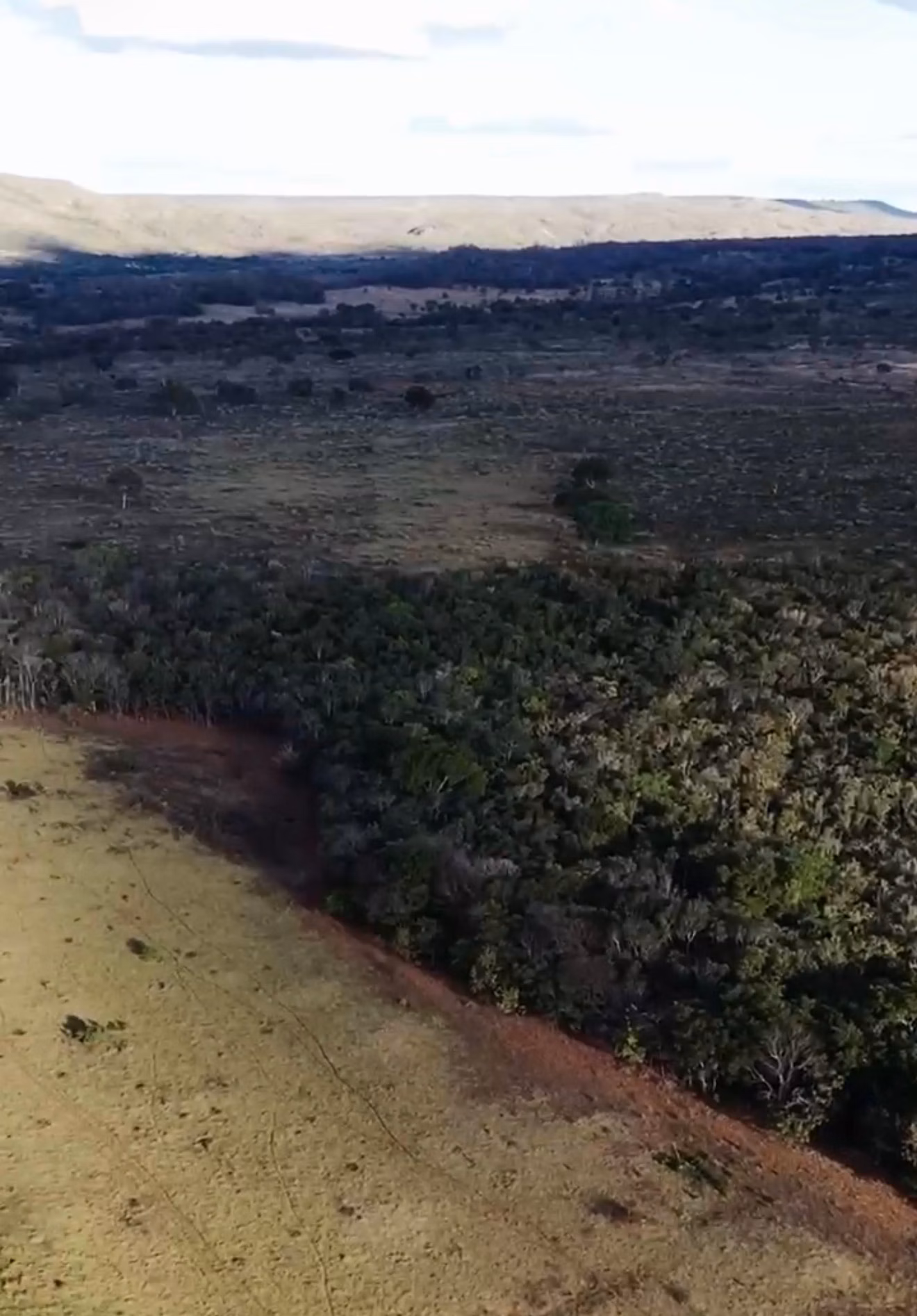 Fazenda de 1.800 ha em Cabeceiras, GO