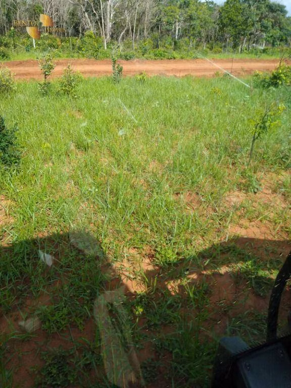 Fazenda de 1.016 ha em Guiratinga, MT
