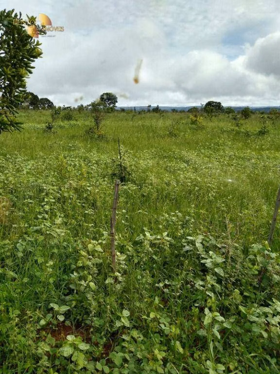 Fazenda de 1.016 ha em Guiratinga, MT