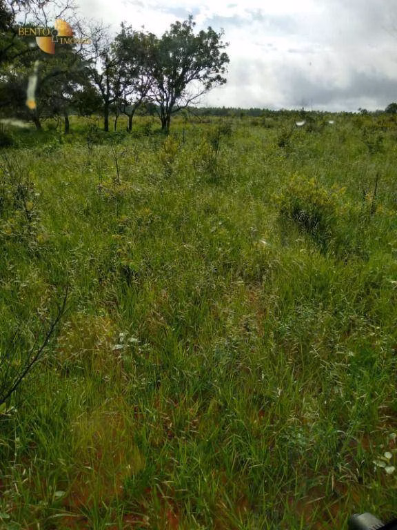 Fazenda de 1.016 ha em Guiratinga, MT