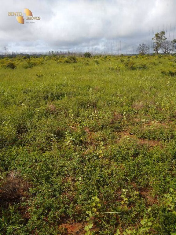 Fazenda de 1.016 ha em Guiratinga, MT