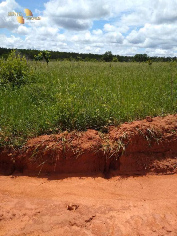 Fazenda de 1.016 ha em Guiratinga, MT