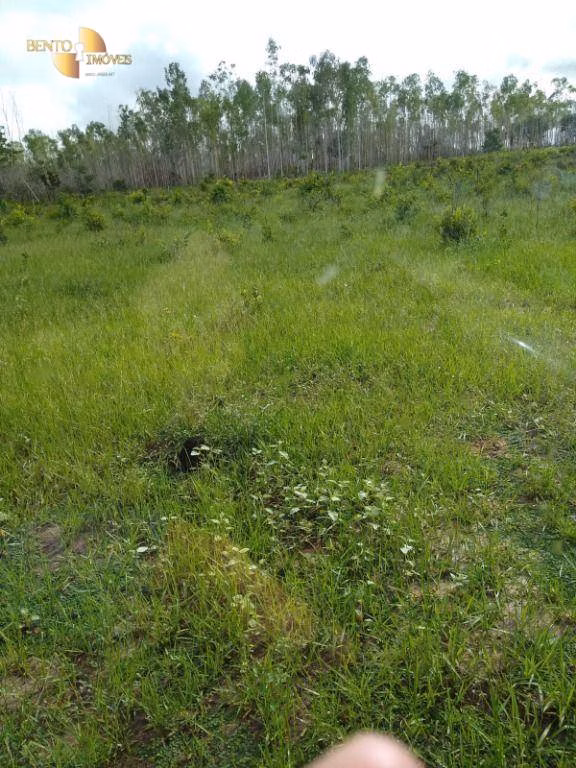Fazenda de 1.016 ha em Guiratinga, MT