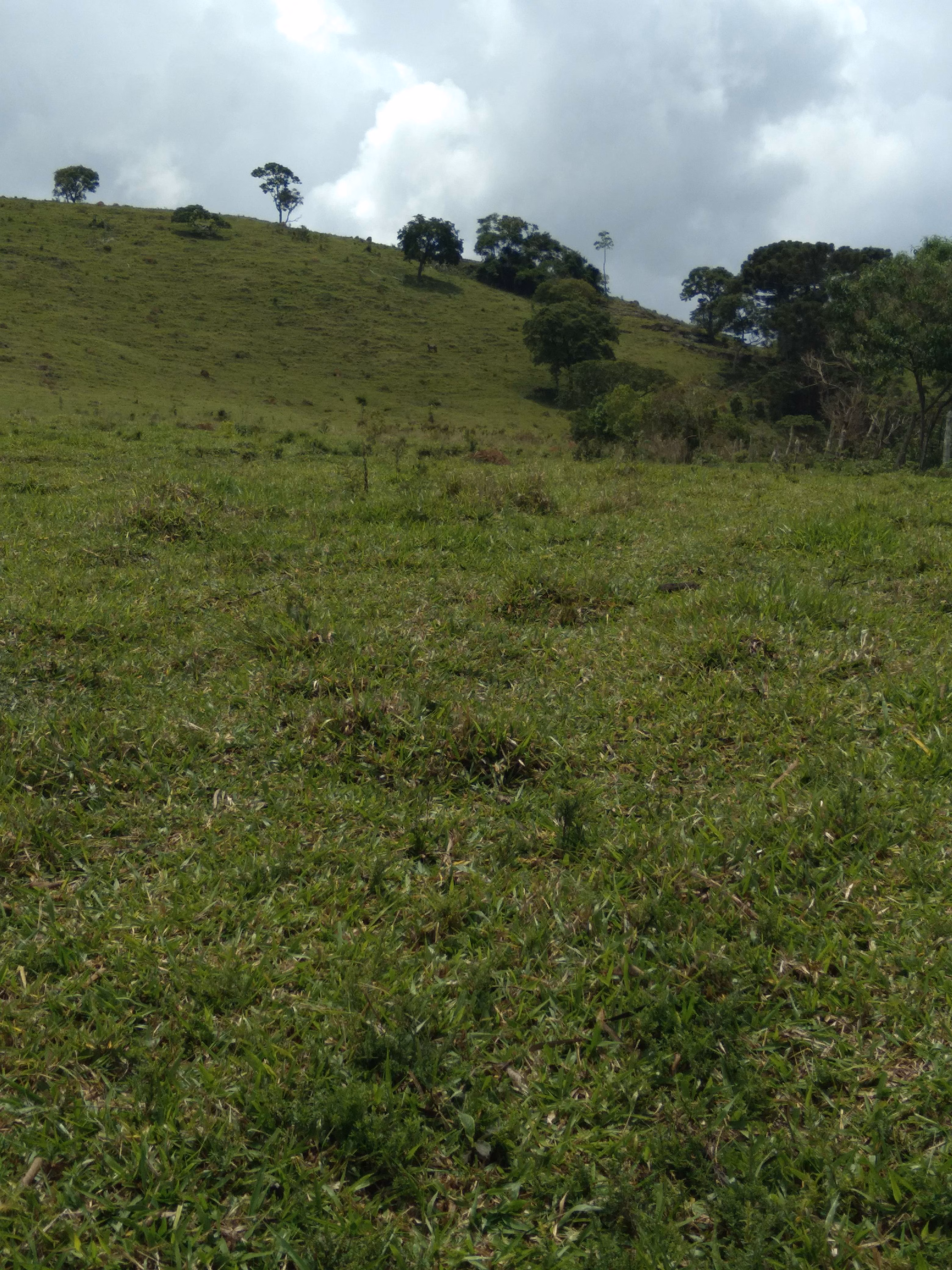 Terreno de 20 ha em Aiuruoca, MG