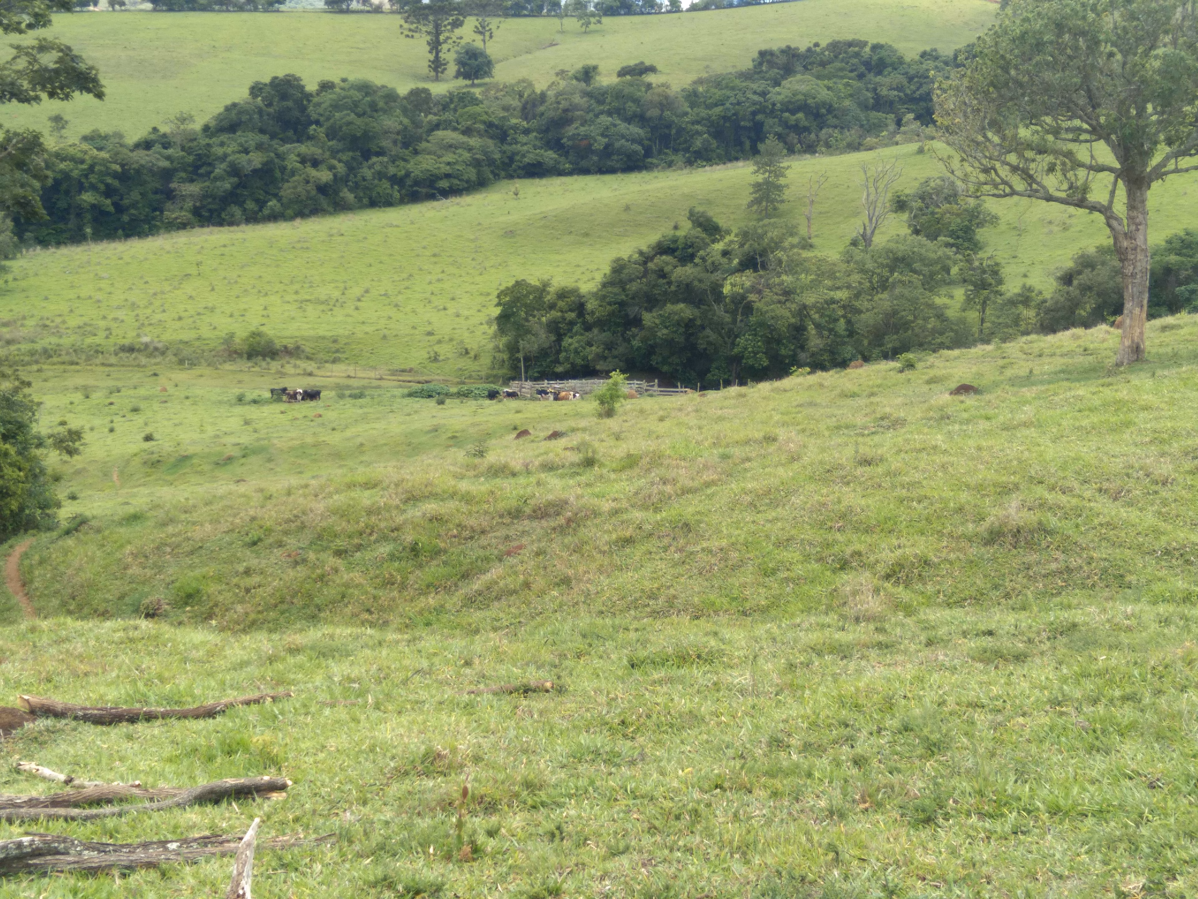 Terreno de 20 ha em Aiuruoca, MG