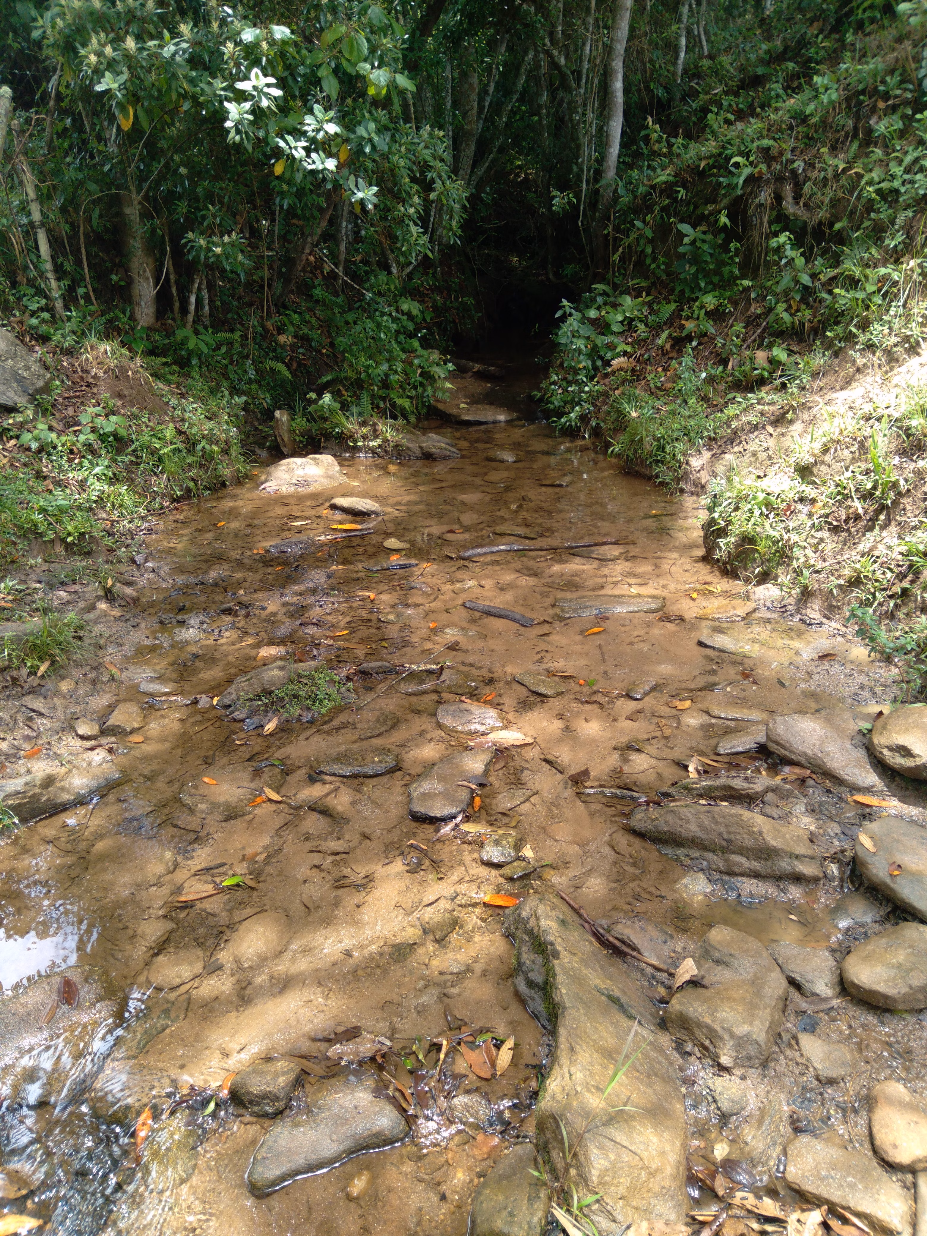 Terreno de 20 ha em Aiuruoca, MG