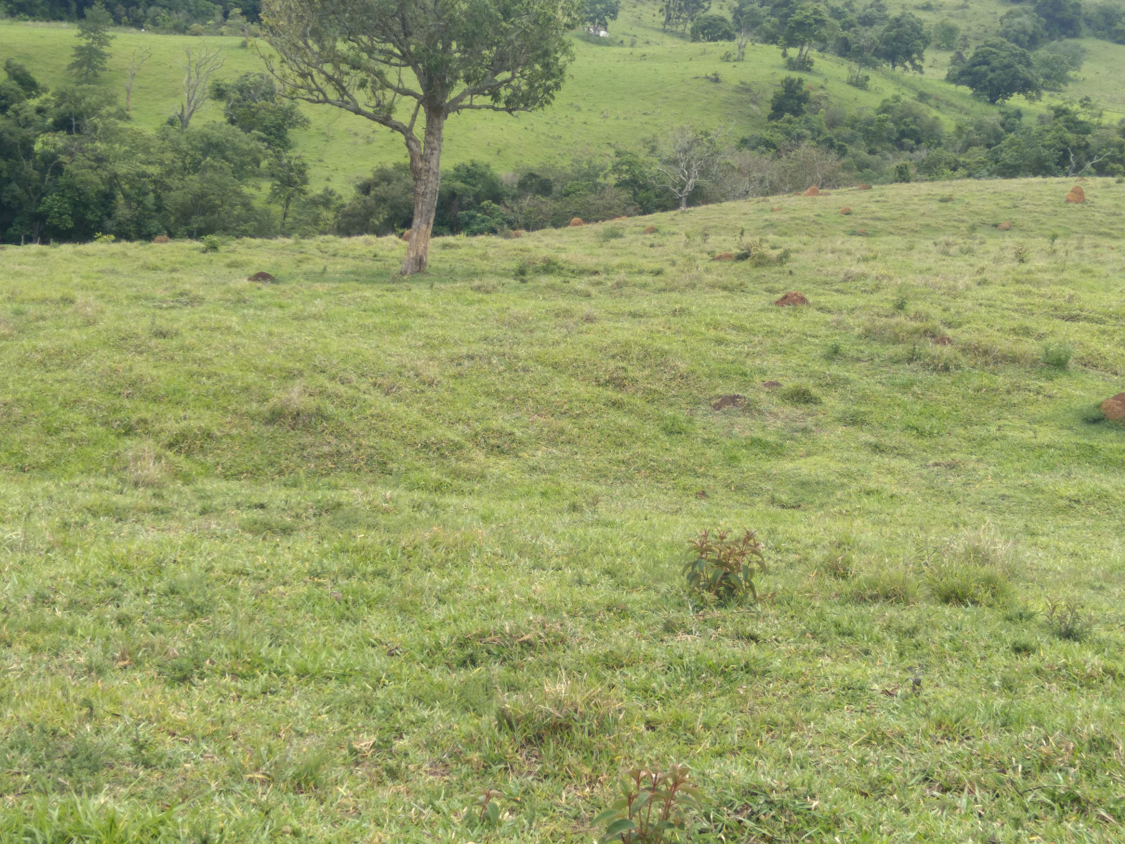 Terreno de 20 ha em Aiuruoca, MG