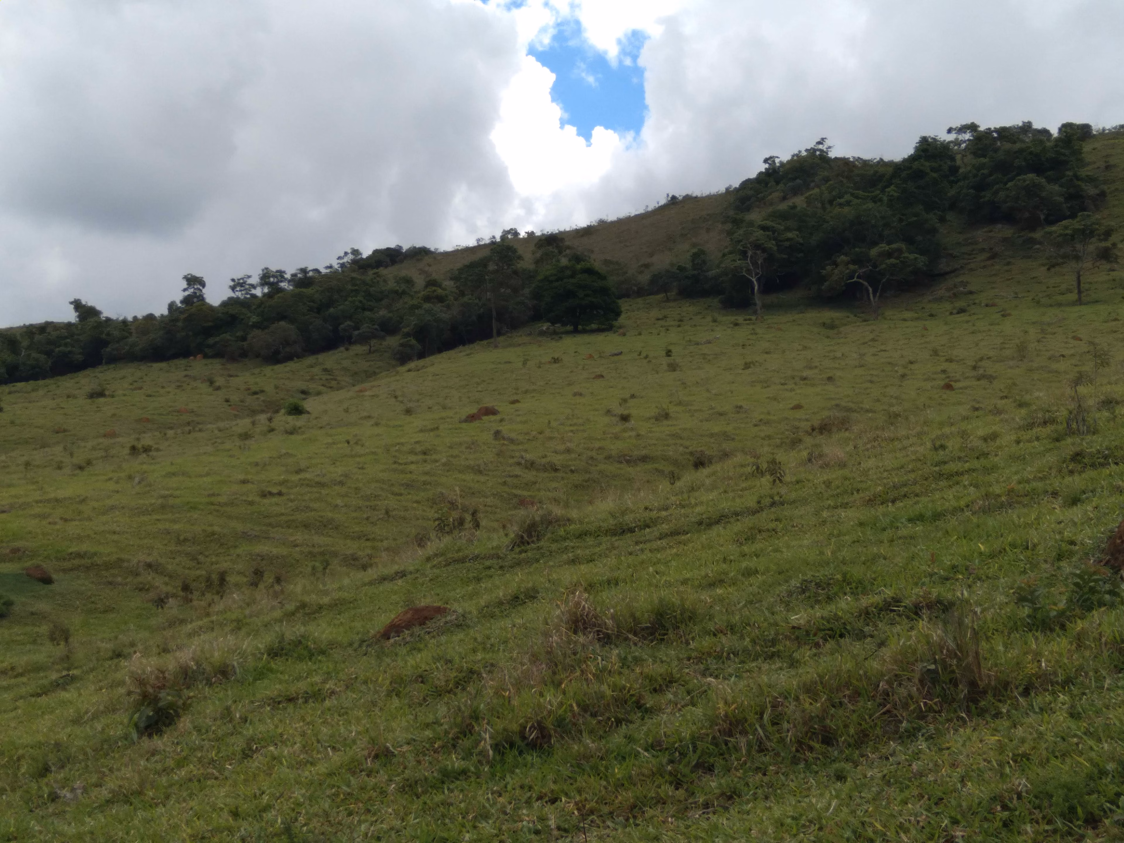Terreno de 20 ha em Aiuruoca, MG