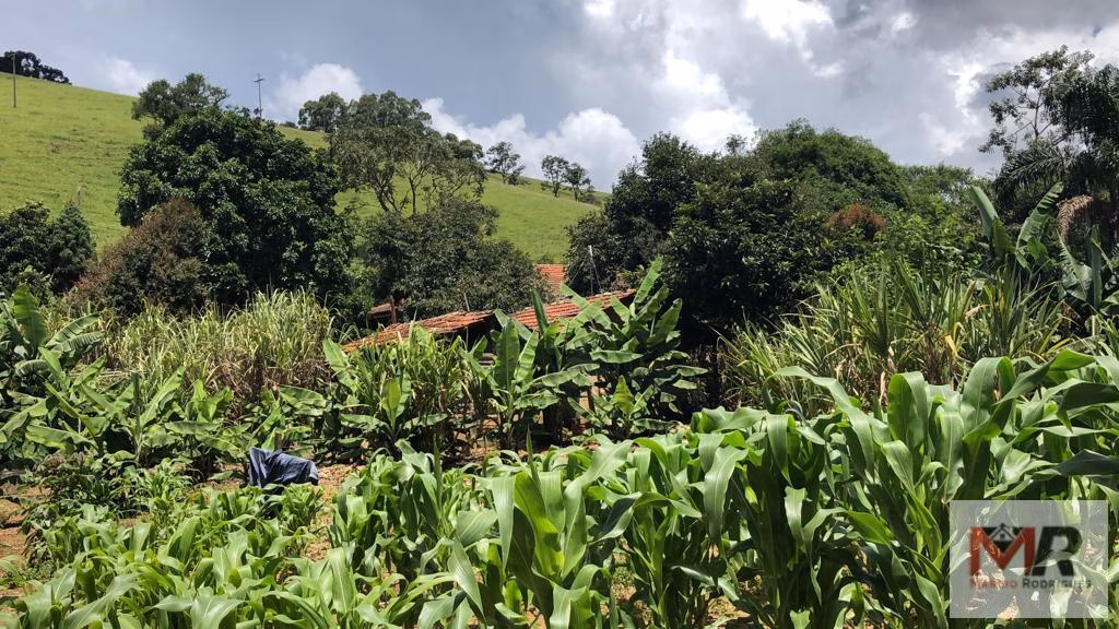 Country home of 4,000 m² in Camanducaia, MG, Brazil