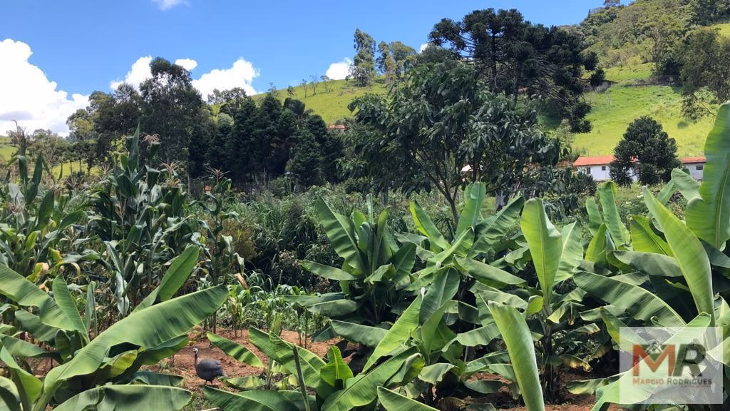 Country home of 4,000 m² in Camanducaia, MG, Brazil