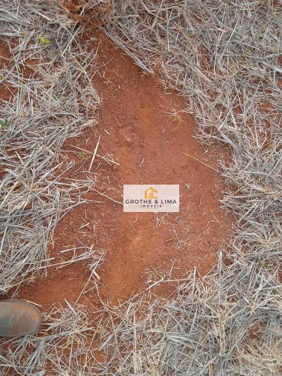 Farm of 5.980 acres in Lagoa da Confusão, TO, Brazil