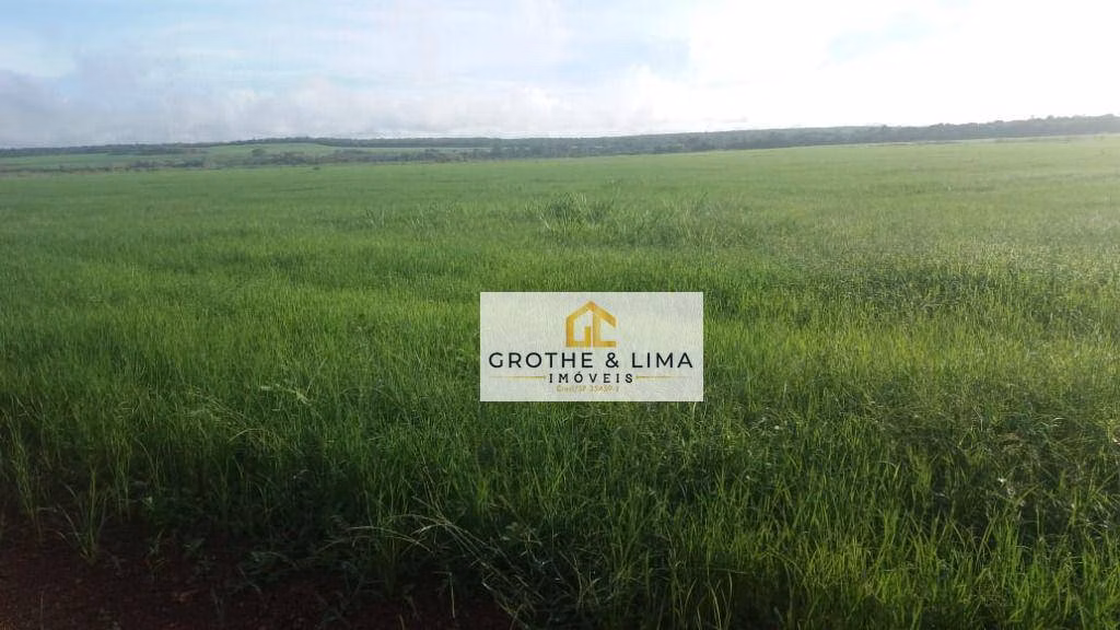 Farm of 5.980 acres in Lagoa da Confusão, TO, Brazil
