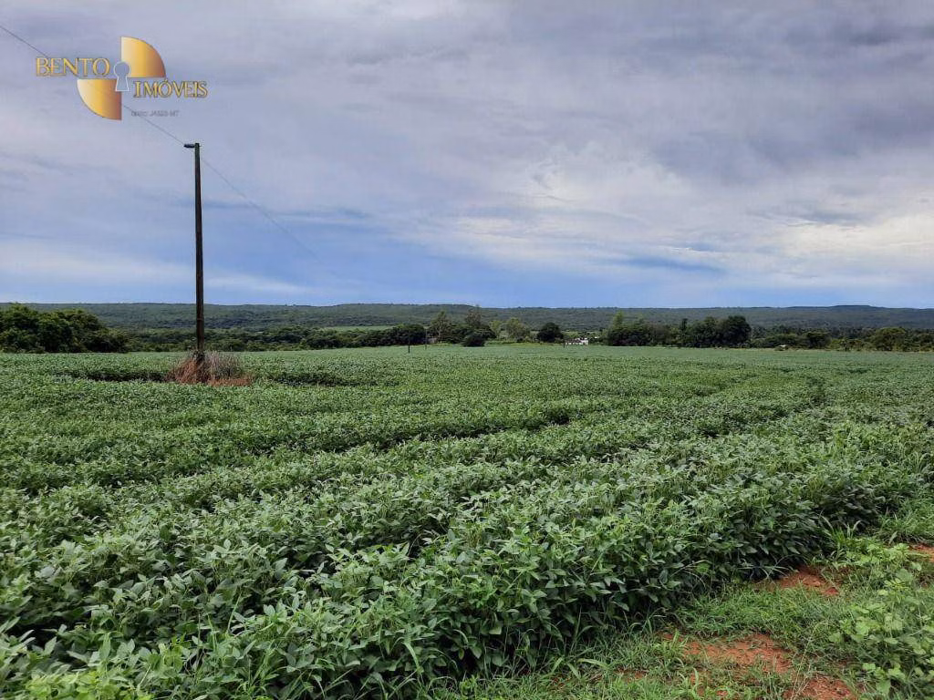 Fazenda de 2.700 ha em Nova Mutum, MT