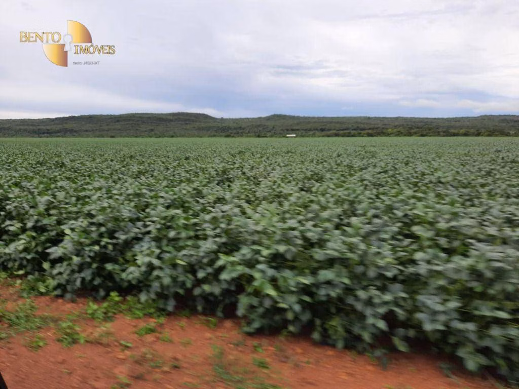 Fazenda de 2.700 ha em Nova Mutum, MT