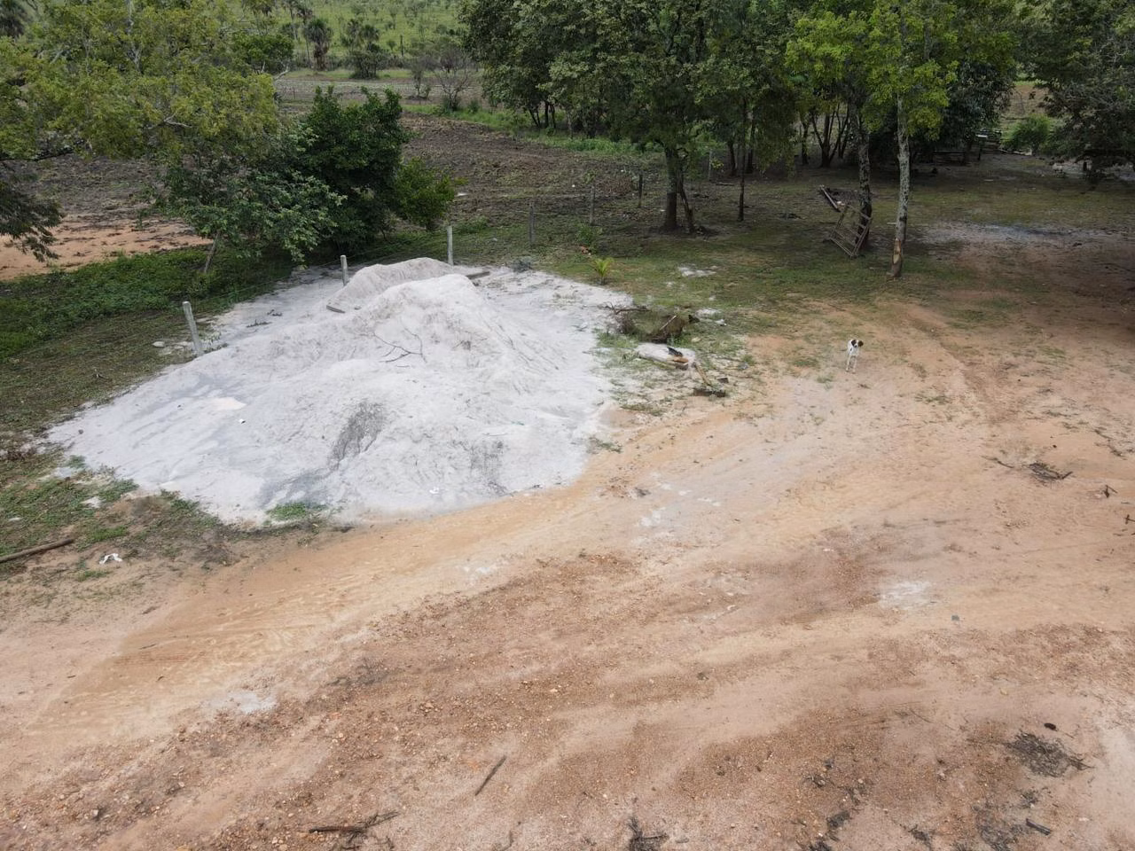 Farm of 59.799 acres in Dianópolis, TO, Brazil