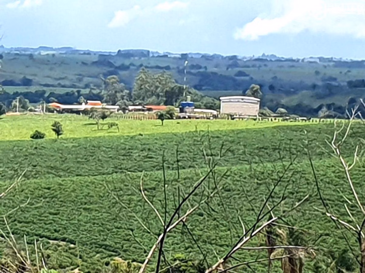 Fazenda à venda de 126 ha em Pardinho, SP