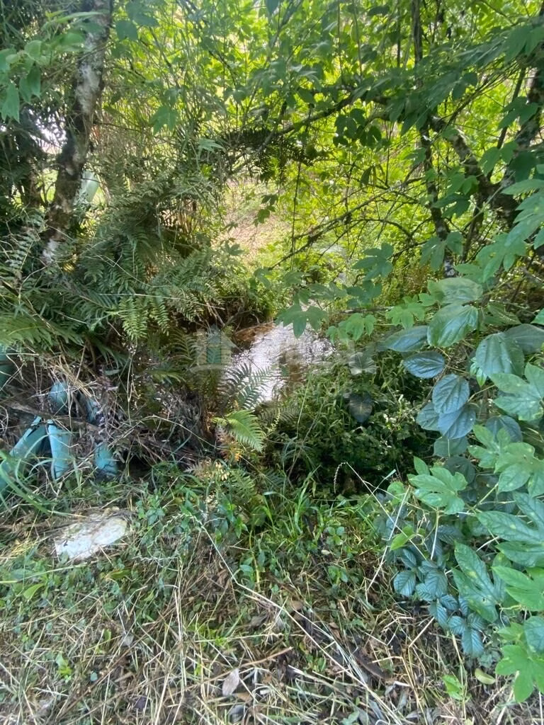 Plot of 12 acres in Major Gercino, SC, Brazil