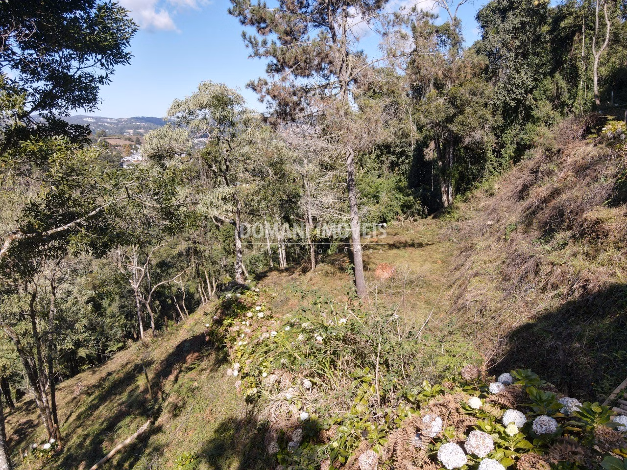 Plot of 2,060 m² in Campos do Jordão, SP, Brazil