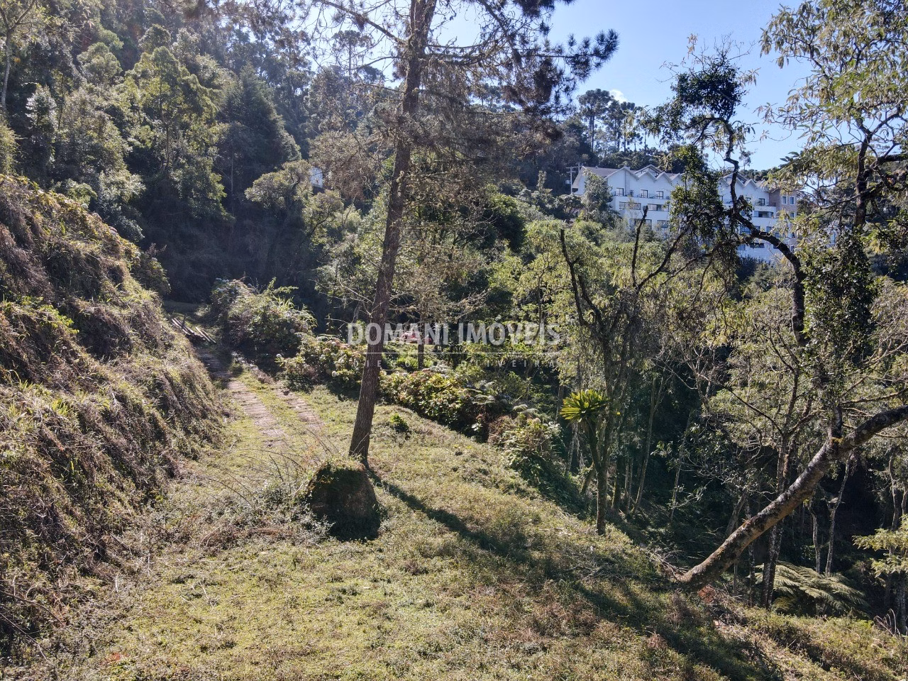 Plot of 2,060 m² in Campos do Jordão, SP, Brazil