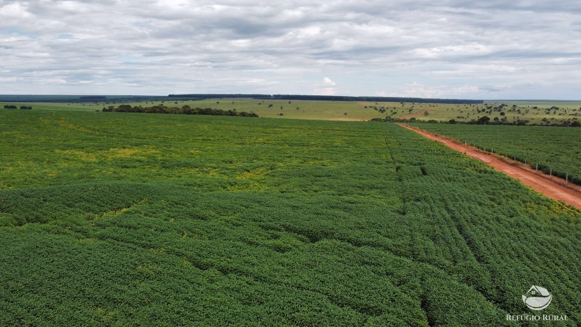 Fazenda de 1.000 ha em Paraíso das Águas, MS