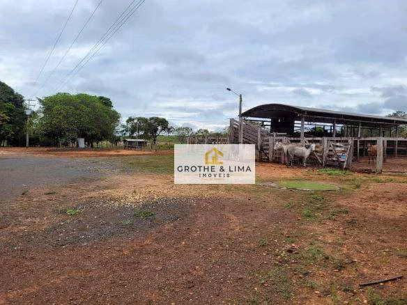 Fazenda de 5.300 ha em Estreito, MA