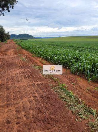 Fazenda de 5.300 ha em Estreito, MA