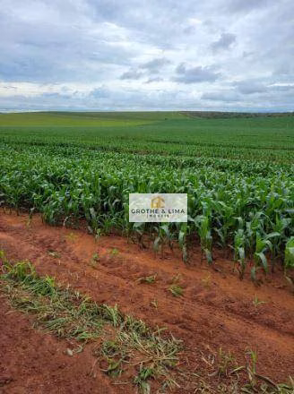 Fazenda de 5.300 ha em Estreito, MA