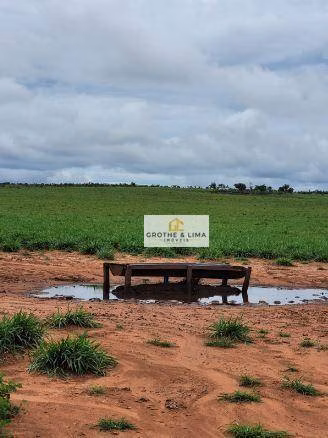 Fazenda de 5.300 ha em Estreito, MA