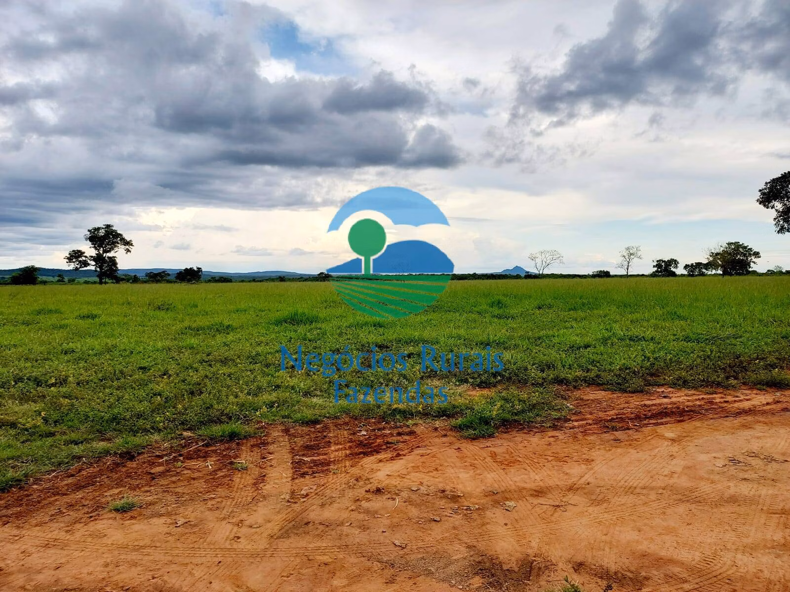 Fazenda de 638 ha em Paranã, TO