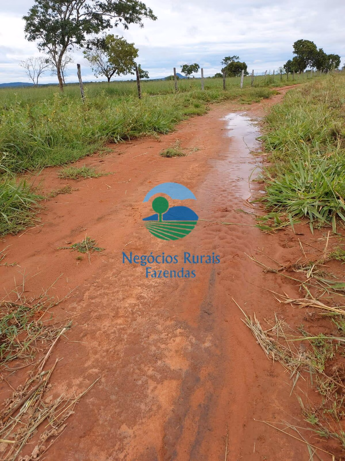 Fazenda de 638 ha em Paranã, TO