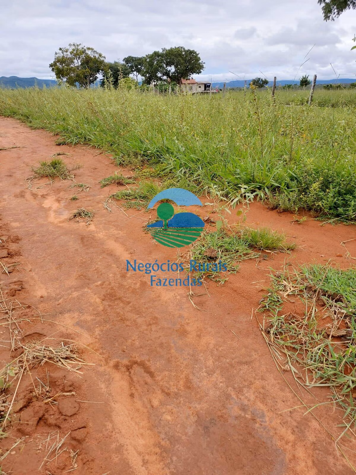 Farm of 1.577 acres in Paranã, TO, Brazil