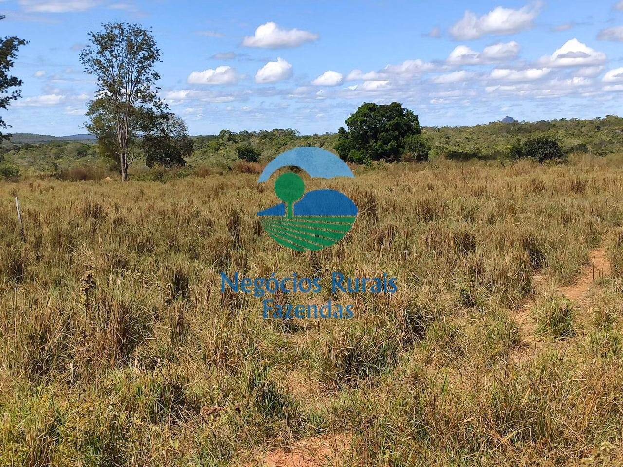 Fazenda de 638 ha em Paranã, TO