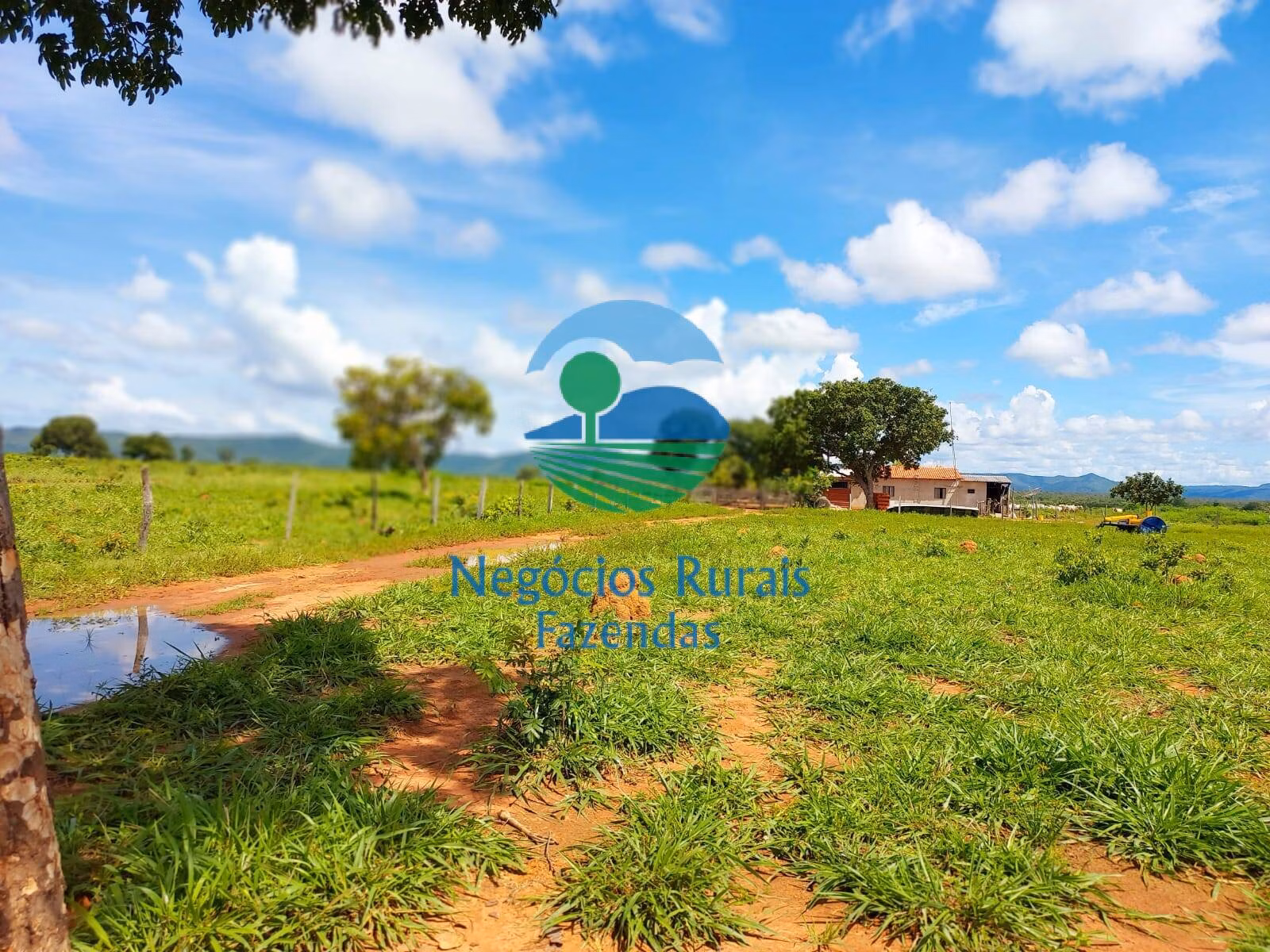 Fazenda de 638 ha em Paranã, TO