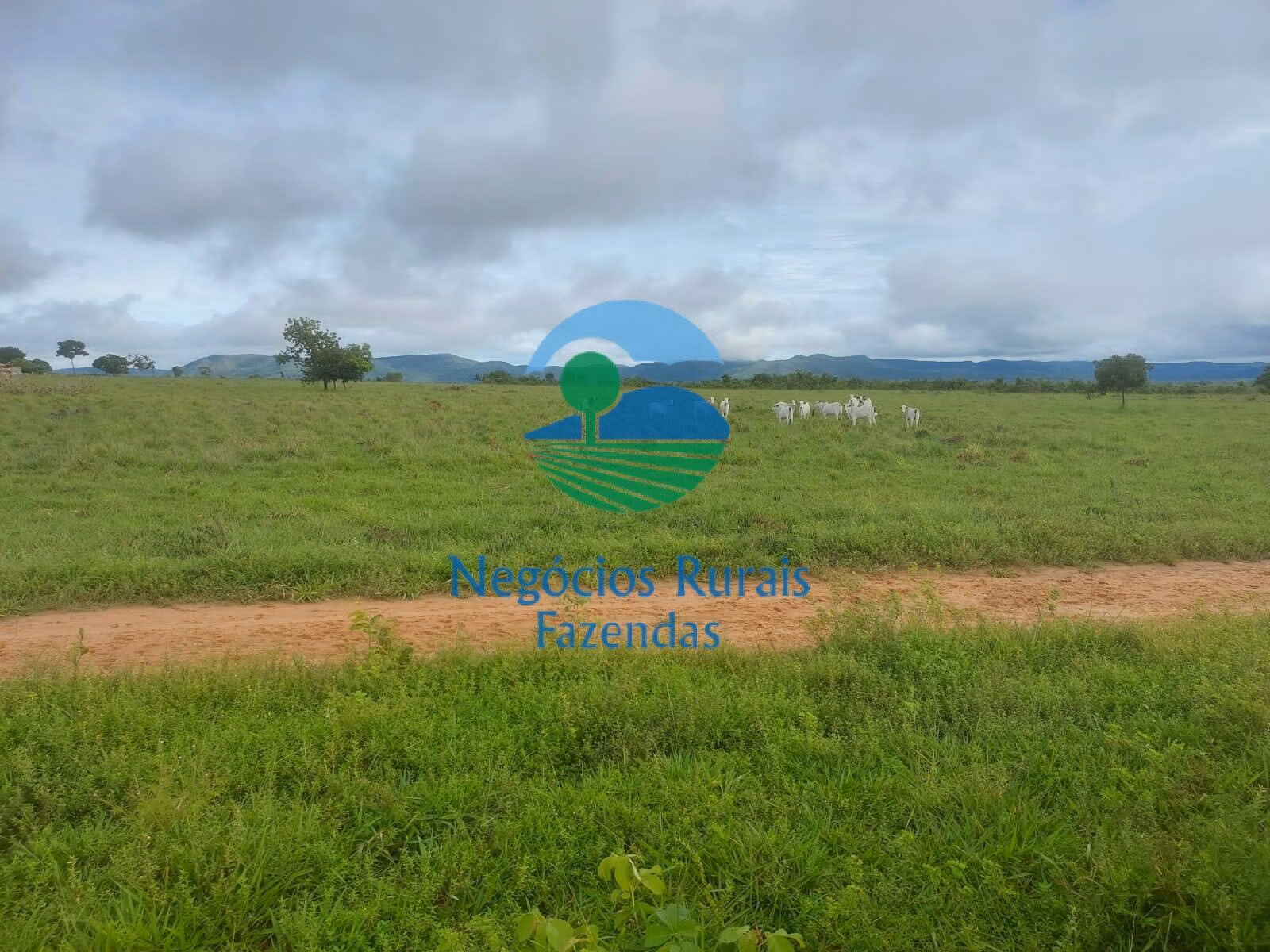 Fazenda de 638 ha em Paranã, TO