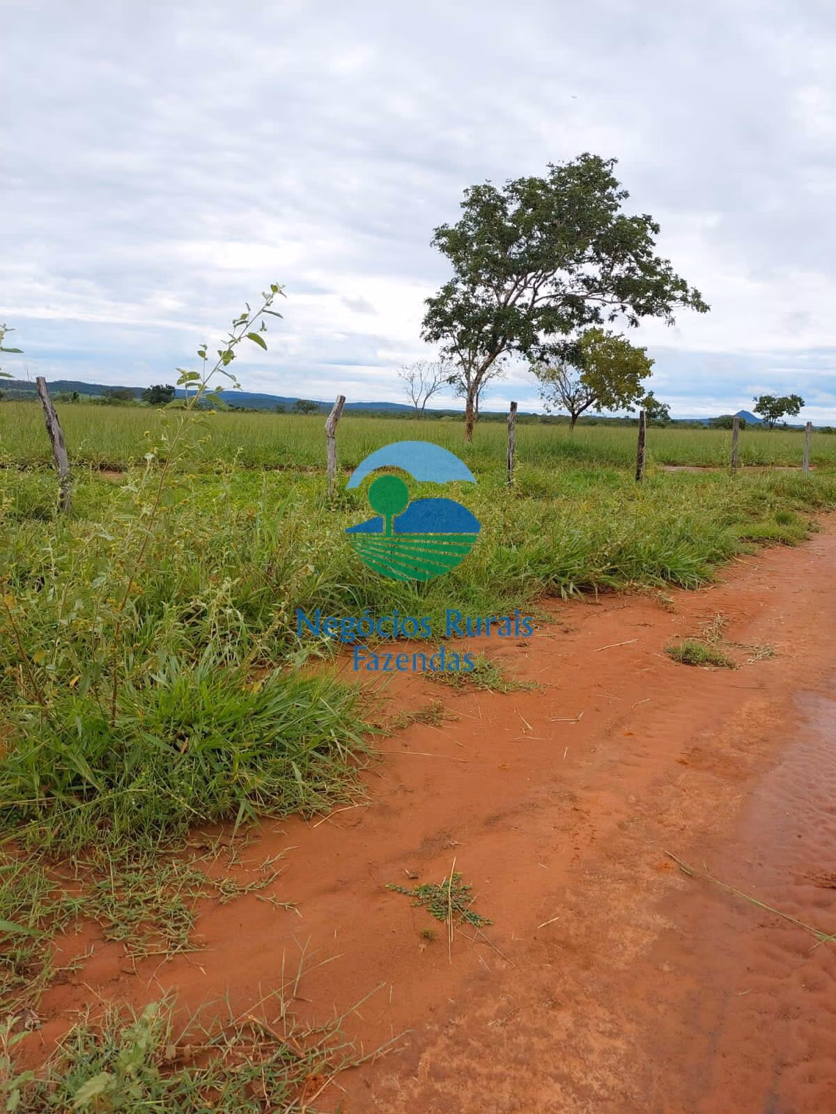 Fazenda de 638 ha em Paranã, TO