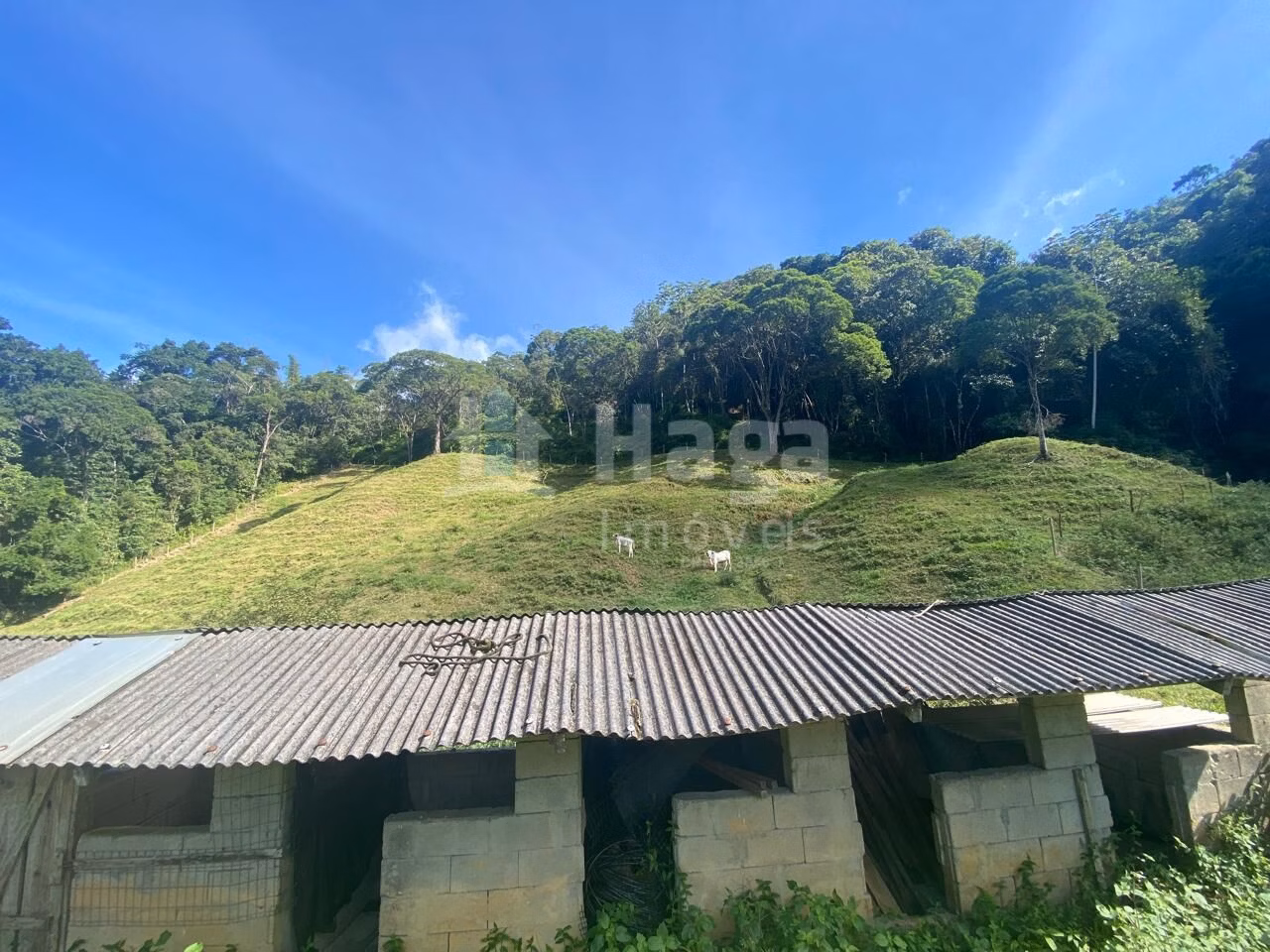 Fazenda de 13 ha em Nova Trento, SC