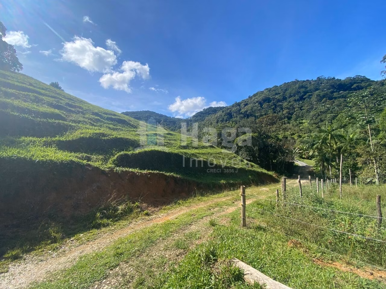 Fazenda de 13 ha em Nova Trento, SC