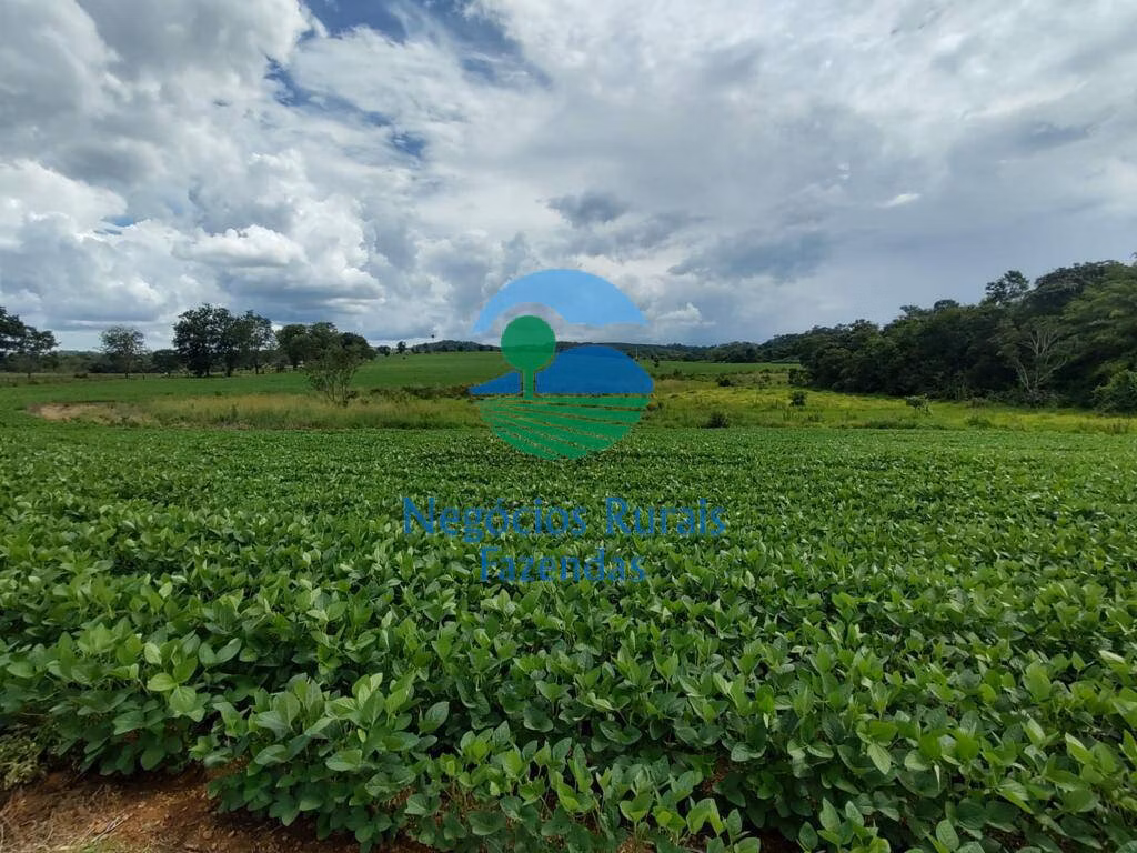 Sítio de 68 ha em Formiga, MG