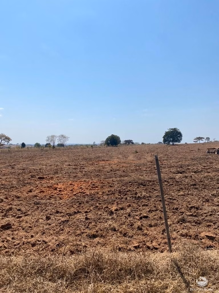 Fazenda de 4.660 ha em Primavera do Leste, MT