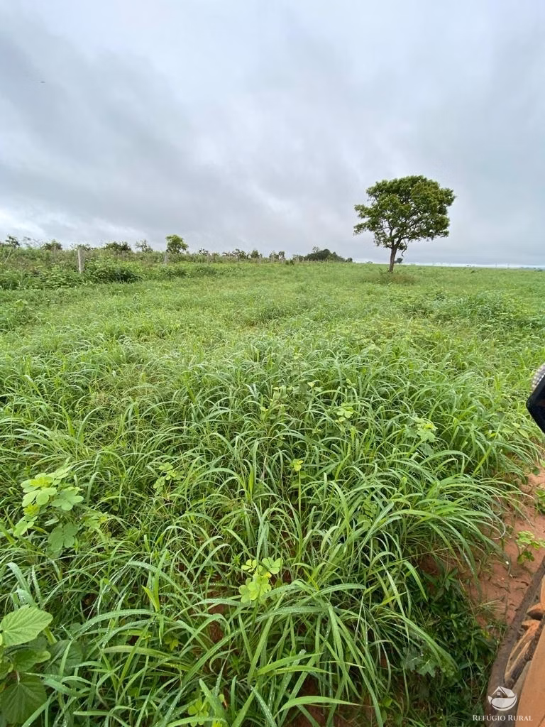 Fazenda de 4.660 ha em Primavera do Leste, MT