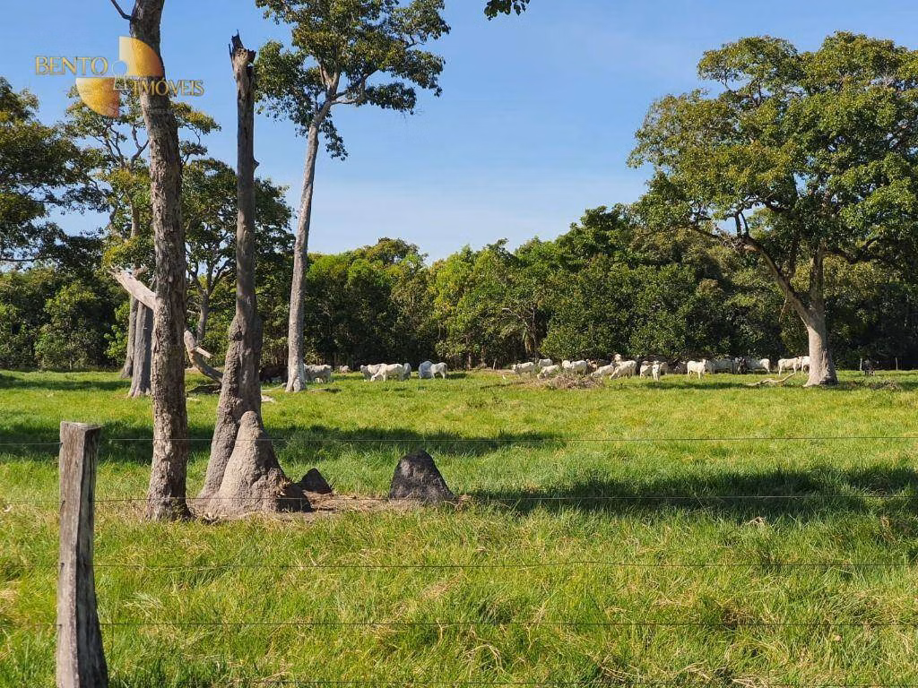 Fazenda de 6.198 ha em Santo Antônio de Leverger, MT