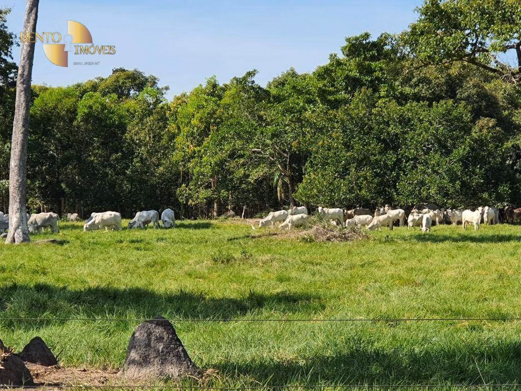Fazenda de 6.198 ha em Santo Antônio de Leverger, MT