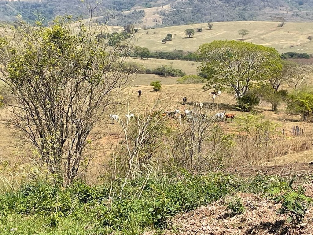 Fazenda de 668 ha em Marília, SP