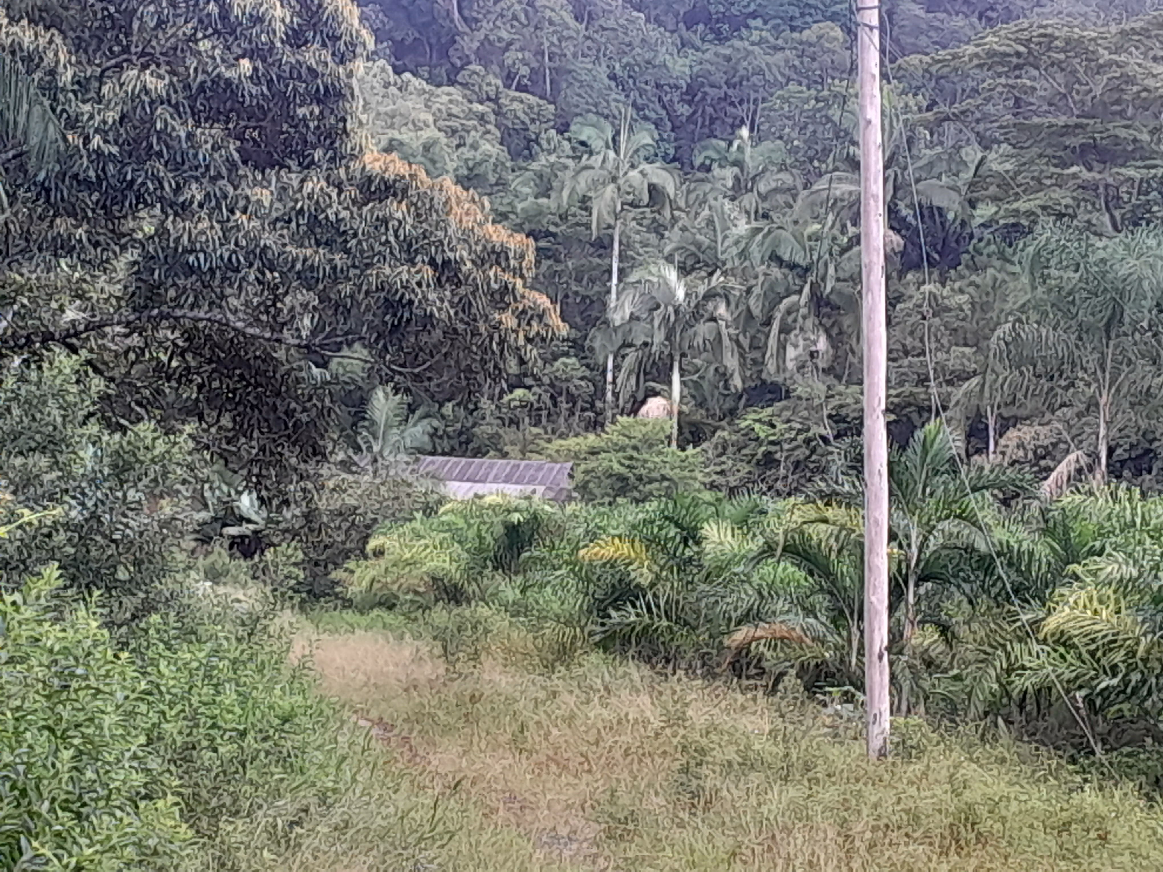 Sítio de 17 ha em Registro, SP