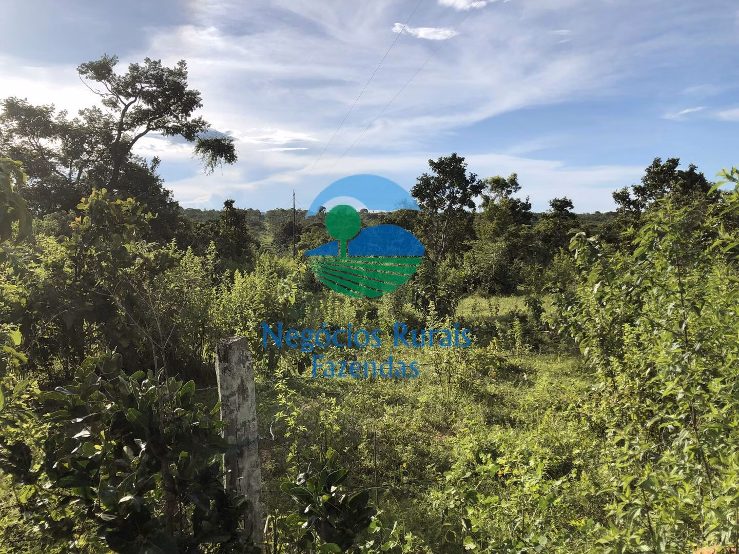 Fazenda de 484 ha em Uruaçu, GO