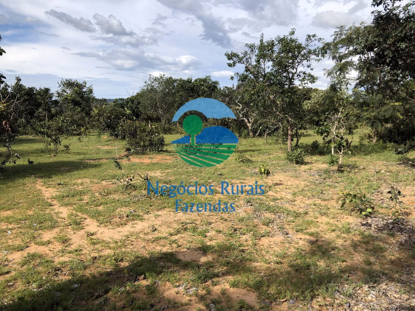 Fazenda de 484 ha em Uruaçu, GO