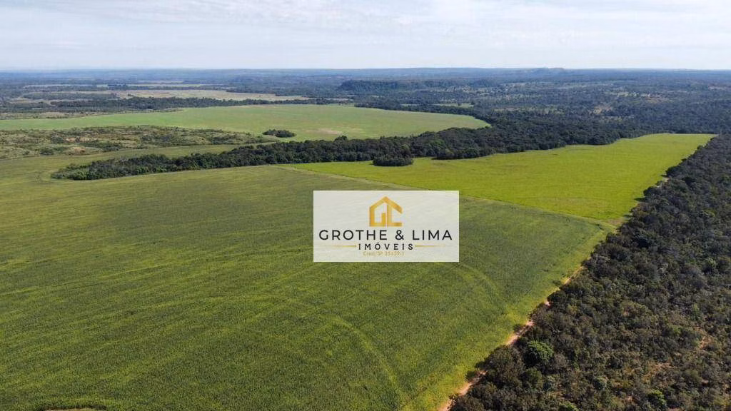 Fazenda de 2.900 ha em Pedro Afonso, TO