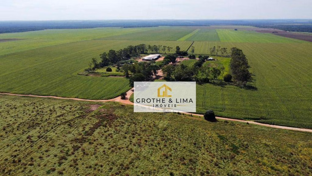Fazenda de 2.900 ha em Pedro Afonso, TO